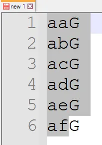 Notepad++ with the lines aaG to afG